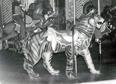 Historic American Carousel Tigers - CarouselHistory.comCarouselHistory.com