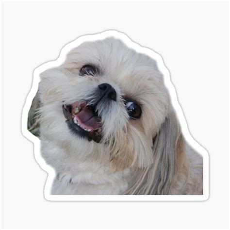 Shih Tzu Stickers for Sale | Shih tzu, Cute stickers, Cute animals