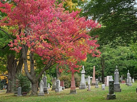 The Shaping & Structuring of Space: Mount Pleasant Cemetery – Canada constructed: architecture ...