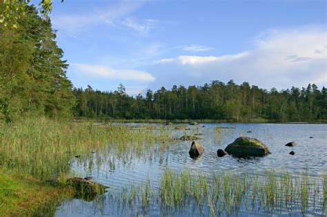 Free Lake in Sweden 1 Stock Photo - FreeImages.com