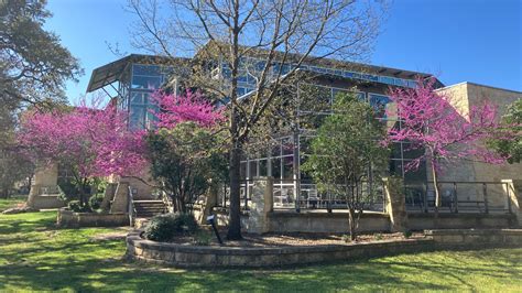 Patrick Heath Boerne Public Library – The Boerne Life