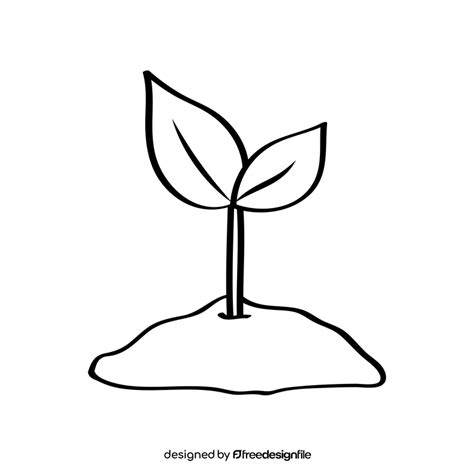 Sprout black and white clipart free download