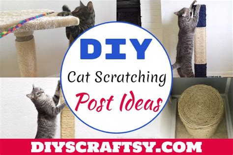 29 DIY Cat Scratcher Ideas For Feline Friends - DIYsCraftsy