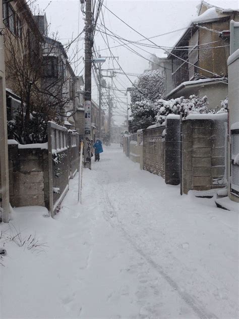 Snow In Japan, Japanese Architecture, Winter Aesthetic, Wintry, Osaka, Aesthetic Pictures, Rural ...