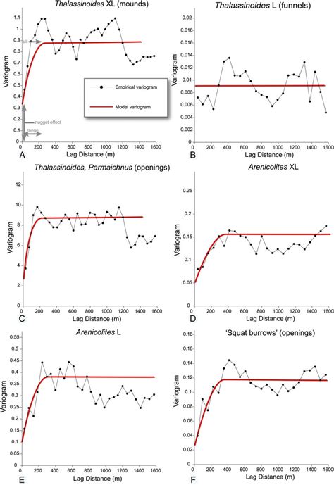 Variogram analysis. (A) Nomenclature used in variogram analysis ...