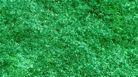 Green Texture Background Free Stock Photo - Public Domain Pictures