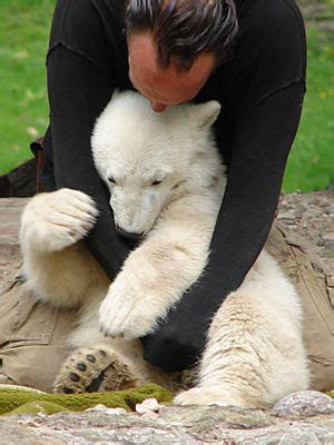 Knut (polar bear) Facts for Kids