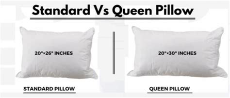 Standard Pillow and Pillowcase Size Chart Guide Updated November 2024