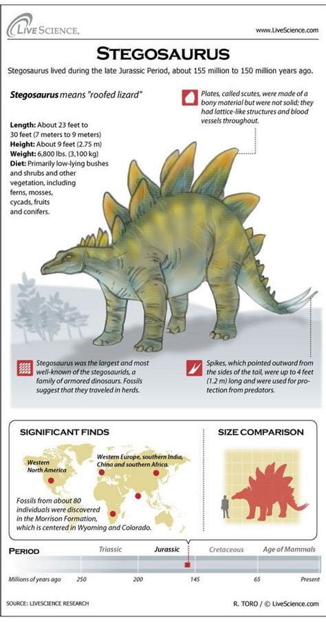 Stegosaurus: Bony Plates & Tiny Brain | Dinosaur facts, Dinosaur ...