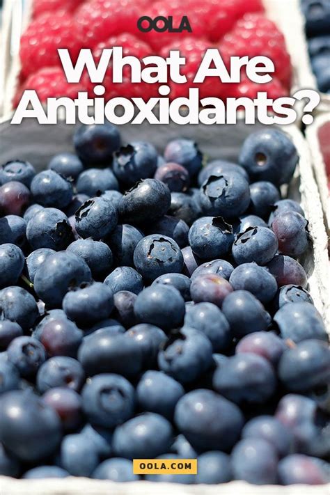 What Are Antioxidants? | Antioxidants, Food facts, All berries