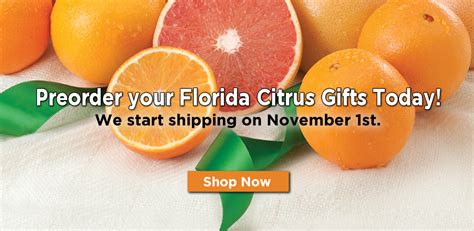 Florida Oranges | Fresh Fruit Delivery | Gregory's Groves