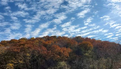 Iowa Fall Colors- 10 Places to Enjoy Fall Foliage in Iowa