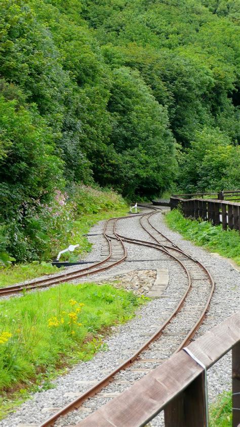 Pointwork, Saltburn Miniature Railway | Forest, Railway, Journey