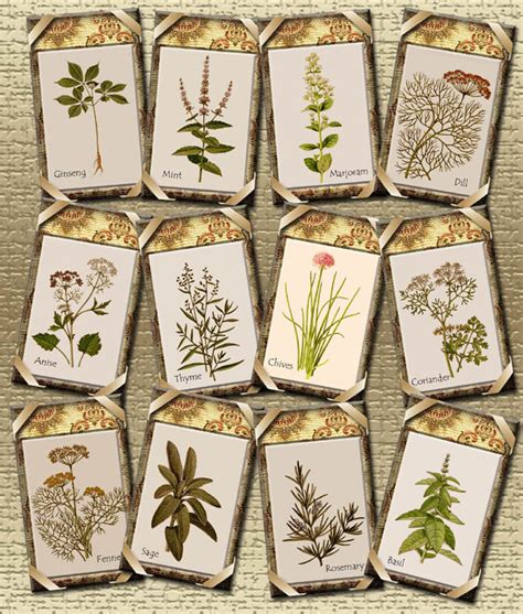 4 Best Images of Herb Garden Labels Printable Free - Herb Garden Labels Printable, Free ...