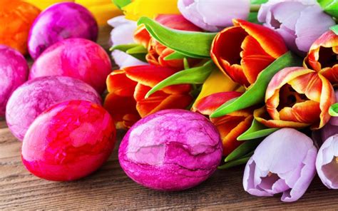 Easter eggs, Happy Easter, tulip flowers wallpaper | holidays | Wallpaper Better