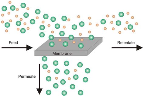 Membranes | Free Full-Text | Investigation of Cross-Linked and Additive ...