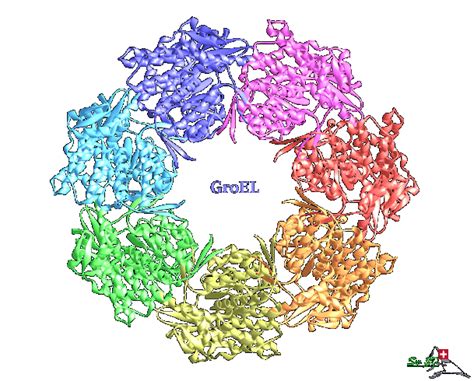 Protein Structure Gif