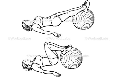 Stability / Swiss / Exercise Ball Hamstring Leg Curl / Hip Raise ...