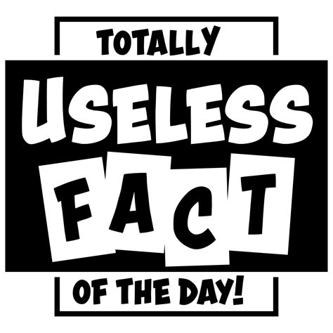 Totally Useless Fact Of the Day | Big Lewie