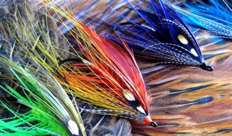 Salmon and Steelhead SPEY Flies