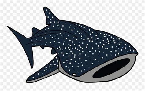 Hammerhead Shark Clipart Whale Shark - Whale Shark Clip Art - Png ...