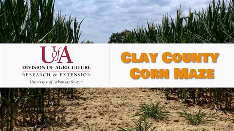 Clay County Corn Maze 2023 - YouTube