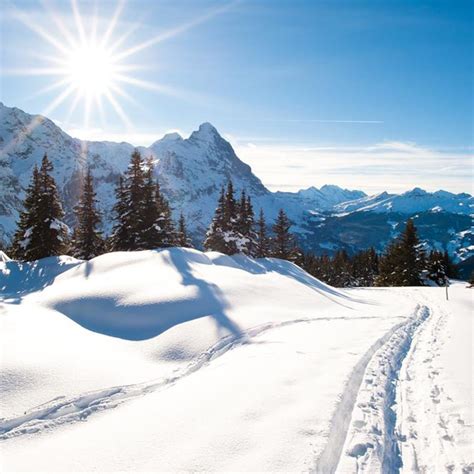 Grindelwald, Switzerland - Ski Europe - winter ski vacation deals in Andorra, Austria, France ...