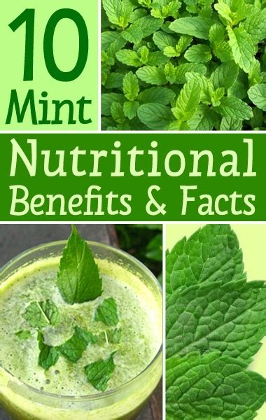 10 Health Benefits Of Mint Leaves - Mint Nutritional Benefits