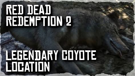 Legendary Coyote Location - Red Dead Redemption 2 (RDR2) #rdr2 - YouTube