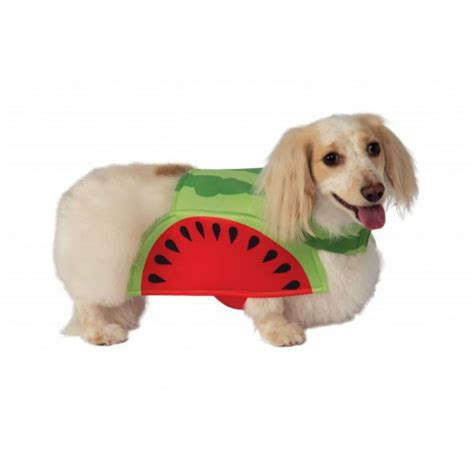 Rubies Watermelon Dog Costume | BaxterBoo