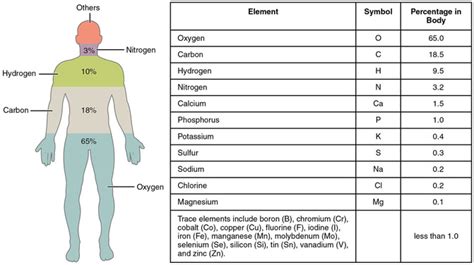 Natural Elements In Living Things - AnthonyTaylor1000