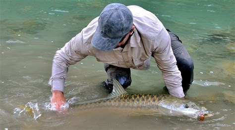 Fishing in Babai River | Golden Masher Fishing | Babai River Fishing Expedition