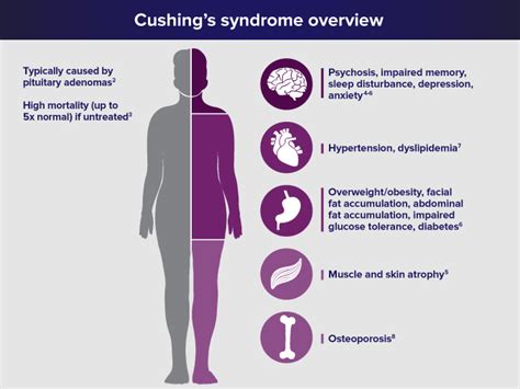 Natural treatment for Cushing syndrome - Philadelphia Holistic Clinic