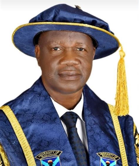 UNIMAID VC receives award of excellence - Tribune Online