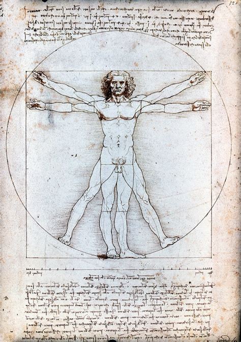 760px-Vitruvian_Man_by_Leonardo_da_Vinci - Tradiciones y Símbolos