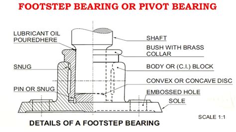 Swivel Bearing Drawing