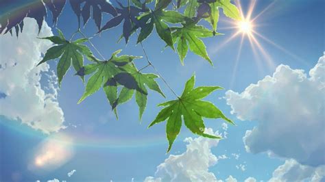Anime Nature Aesthetic Wallpapers on WallpaperDog