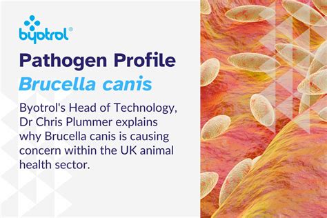 Pathogen Profile – Brucella canis – Byotrol