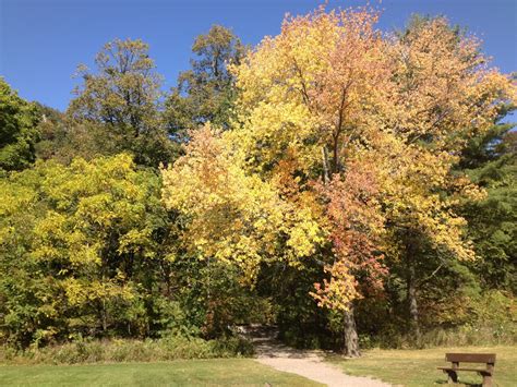 Fall colors at base of hiking trail at Devil's Lake State Park ...