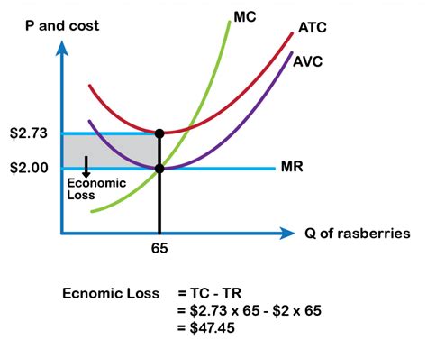 8.5 Economic Loss and Shut Down in the Short Run – Principles of Microeconomics