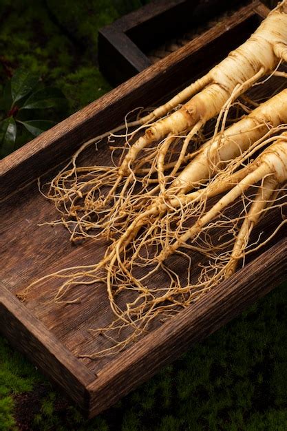 Premium Photo | Fresh ginseng root the amazing health benefits of ...