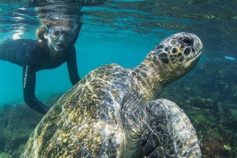 2023 12 Day Galapagos Snorkeling Tour