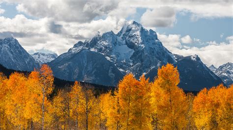 Your Complete Guide to Fall Colors in Jackson, Wyoming | Jackson Hole, Wyoming