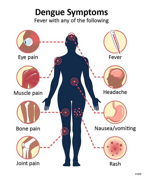 Dengue fever vs. malaria. What to know about the mosquito-borne diseases reported in Florida