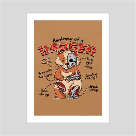 Badger Anatomy, an art print by Pretty Pixels - INPRNT