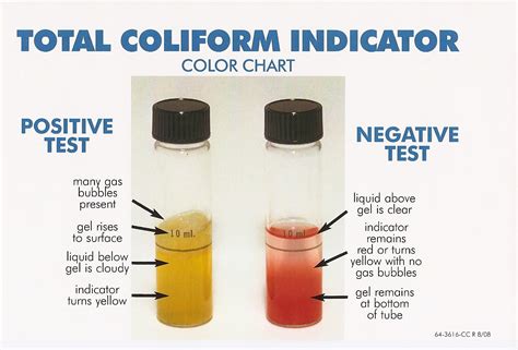 Coliform water test kit - Hydrotense Europe