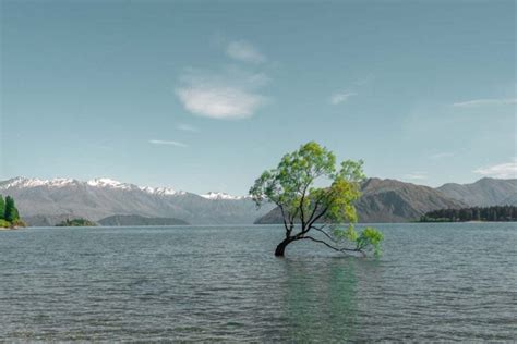 31 BEST Things to do in Wanaka, New Zealand (2024 Guide!) - My ...