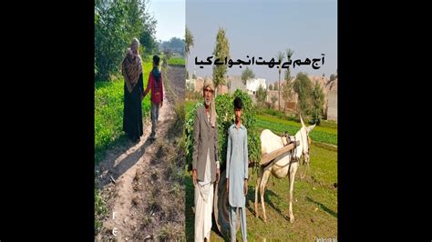 Pakistani village life || village of punjab || visit to my village.Shorkot Jhang - YouTube