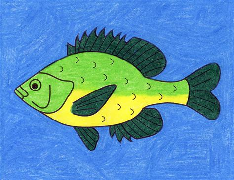 How To Draw A Simple Cartoon Fish