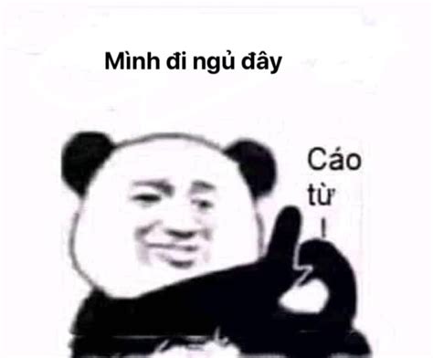 Gấu trúc nói mình đi ngủ đây, cáo từ - Ảnh Chế Meme